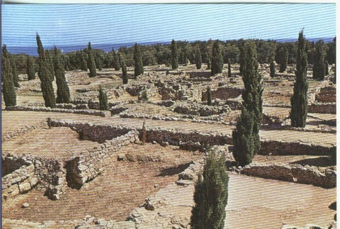 Postal: Arte Prehistorico modelo 17