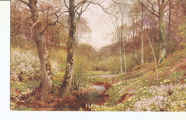 Postal 022329 : Surrey