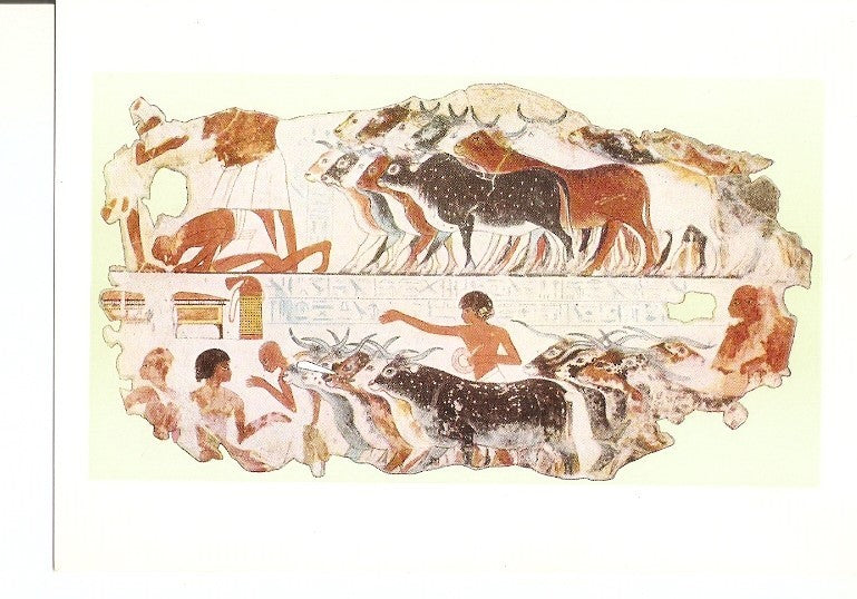 Postal 021286 : Inspection of the castle belonging to Nebamun