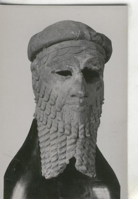 Postal 000132 : Busto rey persa: Dario ?