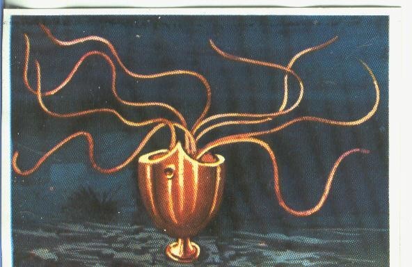 Cromos: Historia Natural numero 341