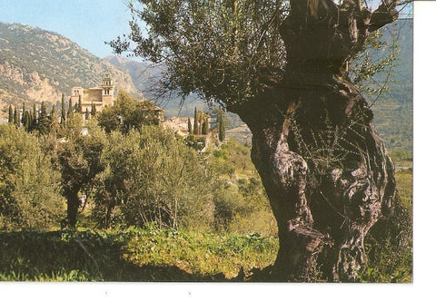 Postal 028768 : Valldemosa, Mallorca