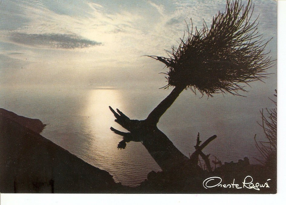 Postal 031132 : Nuit et silence