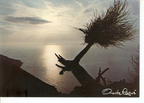 Postal 031132 : Nuit et silence