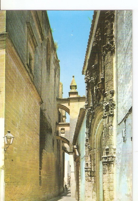 Postal 029589 : Arcos de la Frontera (Cadiz) Callejon de las Monjas