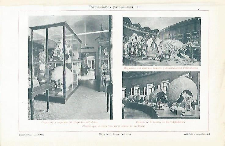 LAMINA ESPASA 1469: Fosiles del Museo de La Plata