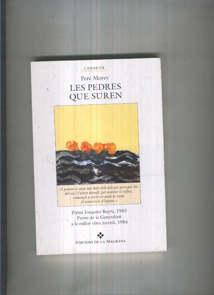 Les pedres que suren