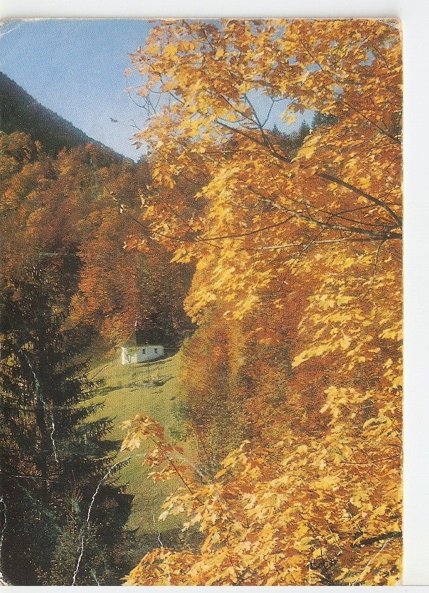 Postal 044368 : Casa en medio de un bosque