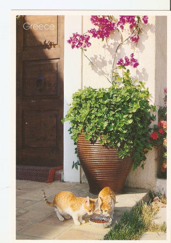 Postal 024694 : Grecia
