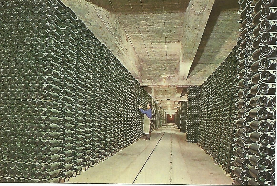 Postal 50130: CAVAS CODORNIU - Botellas envejeciendo
