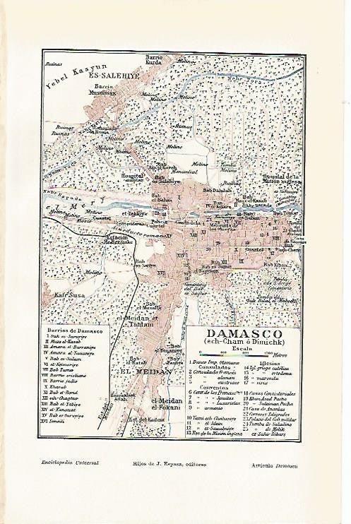 LAMINA ESPASA 2013: Plano de Damasco Siria