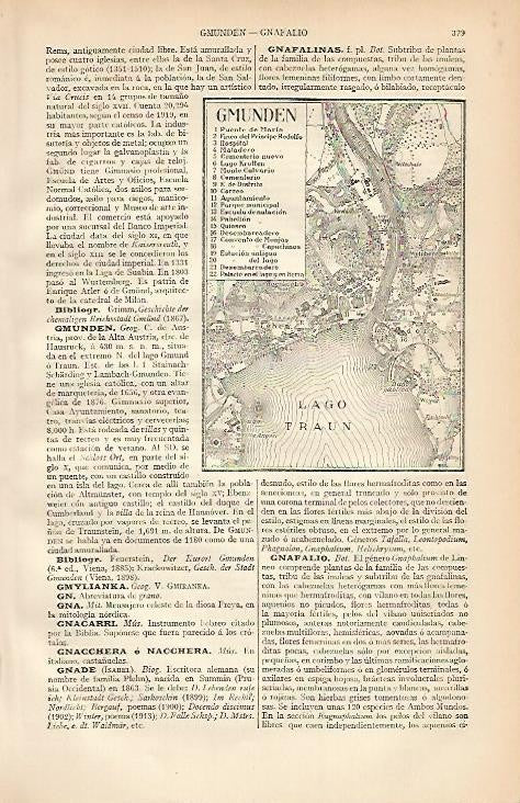 LAMINA ESPASA 2119: Plano de Gmunden Austria