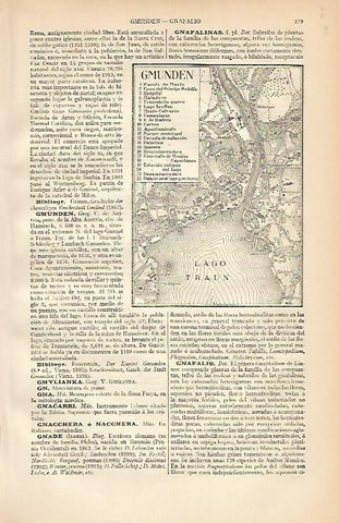 LAMINA ESPASA 2119: Plano de Gmunden Austria