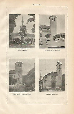 LAMINA ESPASA 2176: Edificios de Granada