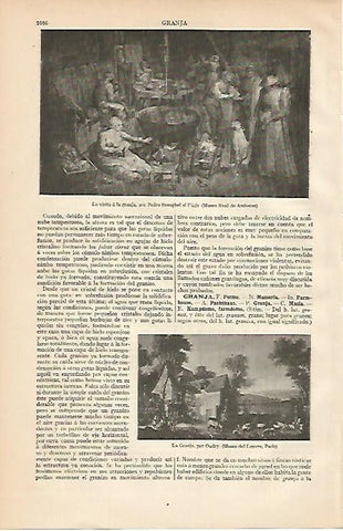 LAMINA ESPASA 2183: La visita a la granja de Breughel el Viejo