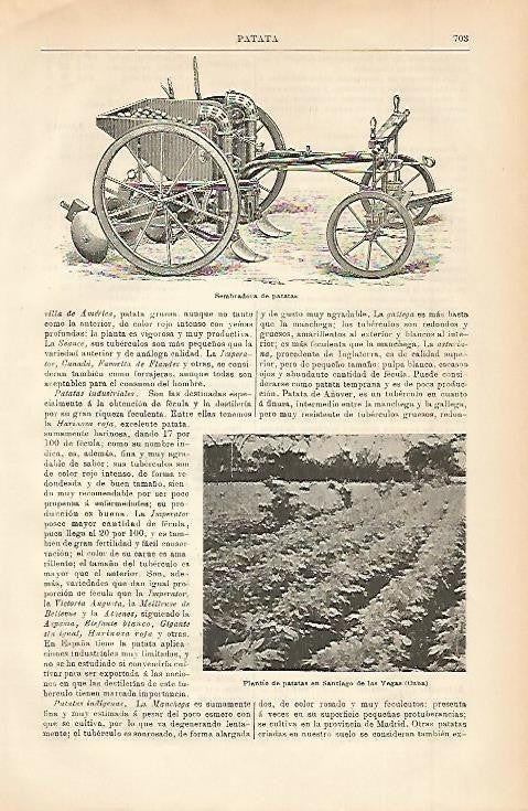 LAMINA ESPASA 2348: Sembradora de patatas