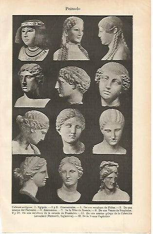LAMINA ESPASA 2407: Bustos de la antiguedad. Egipto Grecia Roma