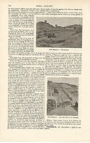 LAMINA ESPASA 2461:  Vista general de Feria Badajoz