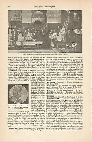 LAMINA ESPASA 2634: Representaciones del rey Sisenando