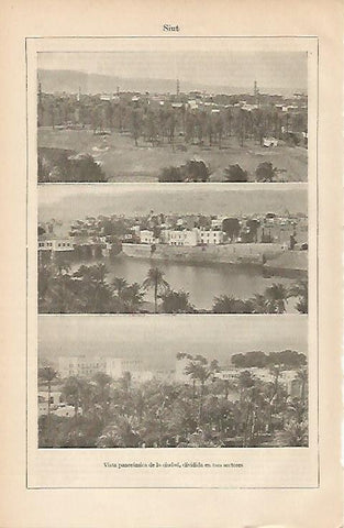 LAMINA ESPASA 2651: Vista general de Siut Egipto