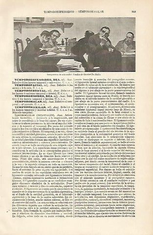 LAMINA ESPASA 2740: Temporeros de seis reales por Orestes da Molin