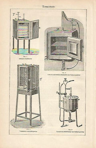 LAMINA ESPASA 2775: Tipos de termotasto