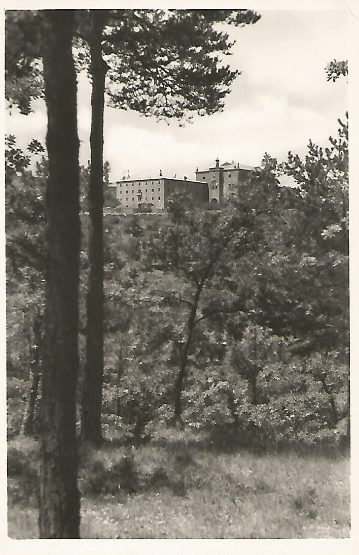 Postal 51255: SANTA MARIA DEL MIRACLE - Vista desde el Bosque de la Devesa