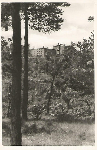 Postal 51255: SANTA MARIA DEL MIRACLE - Vista desde el Bosque de la Devesa