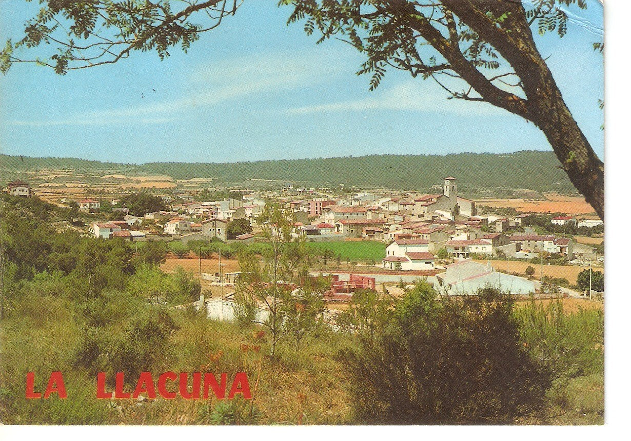 Postal 038401 : La Llacuna. Vista general