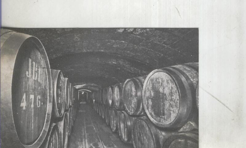 Postal: Barcelona: San Sadurni de Noya: Casa Codorniu