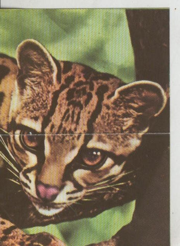 Cromos: La Naturaleza y sus maravillas numero 103/104
