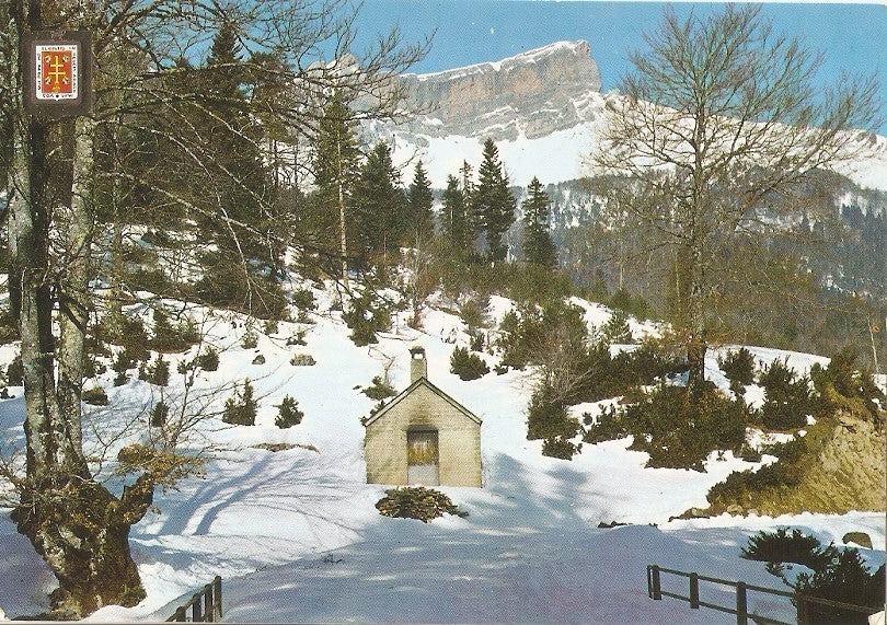 Postal 030886 : Pirineo Aragones (Huesca). Hecho Selva de Oza. Un aspecto de la entrada y al fondo las Collaretas