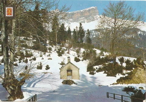 Postal 030886 : Pirineo Aragones (Huesca). Hecho Selva de Oza. Un aspecto de la entrada y al fondo las Collaretas