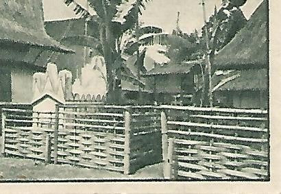 CROMO 00207 GALLINA BLANCA 2o ALBUM. Serie 85 Indonesia. Numero 3