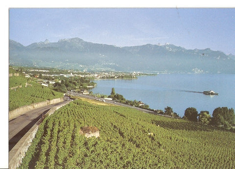 Postal 034734 : Lavaux vue sur les Alpes vaudoises