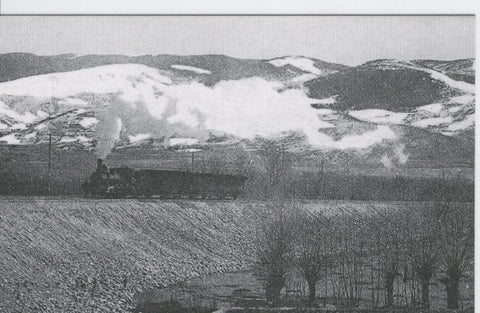 Postal 012284: Tren de pasajeros en Puigcerda, año 1920