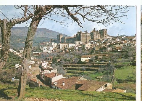 Postal 046439 : Guadalupe. Vista general del Monasterior desde la carretera de Madrid