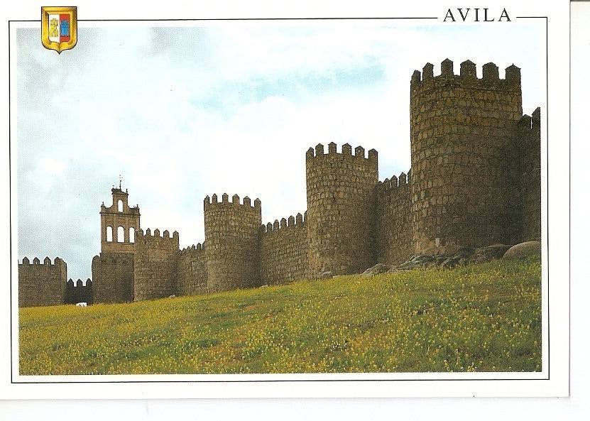 Postal 039314 : Avila. Murallas