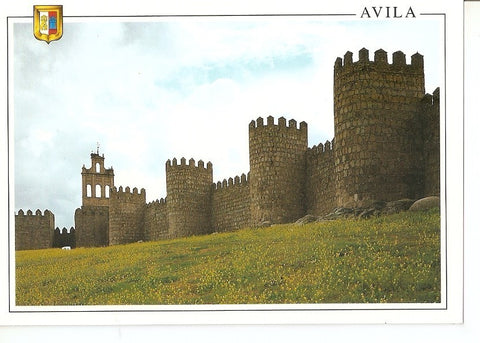 Postal 039314 : Avila. Murallas