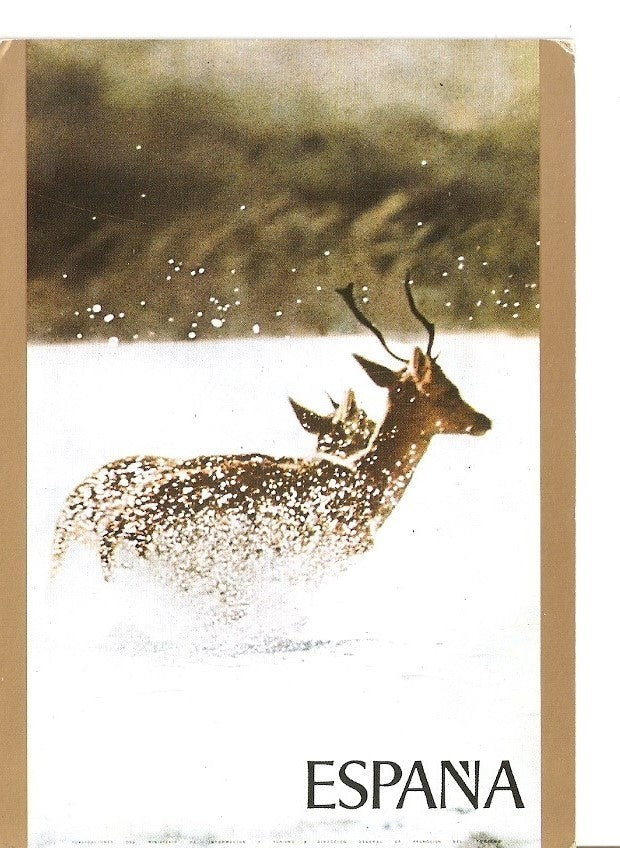Postal 040275 : Carteles Turisticos de España. Animales en la nieve