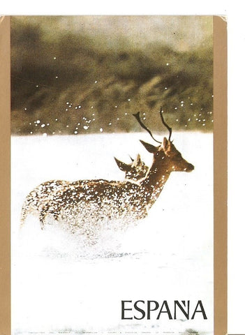 Postal 040275 : Carteles Turisticos de España. Animales en la nieve