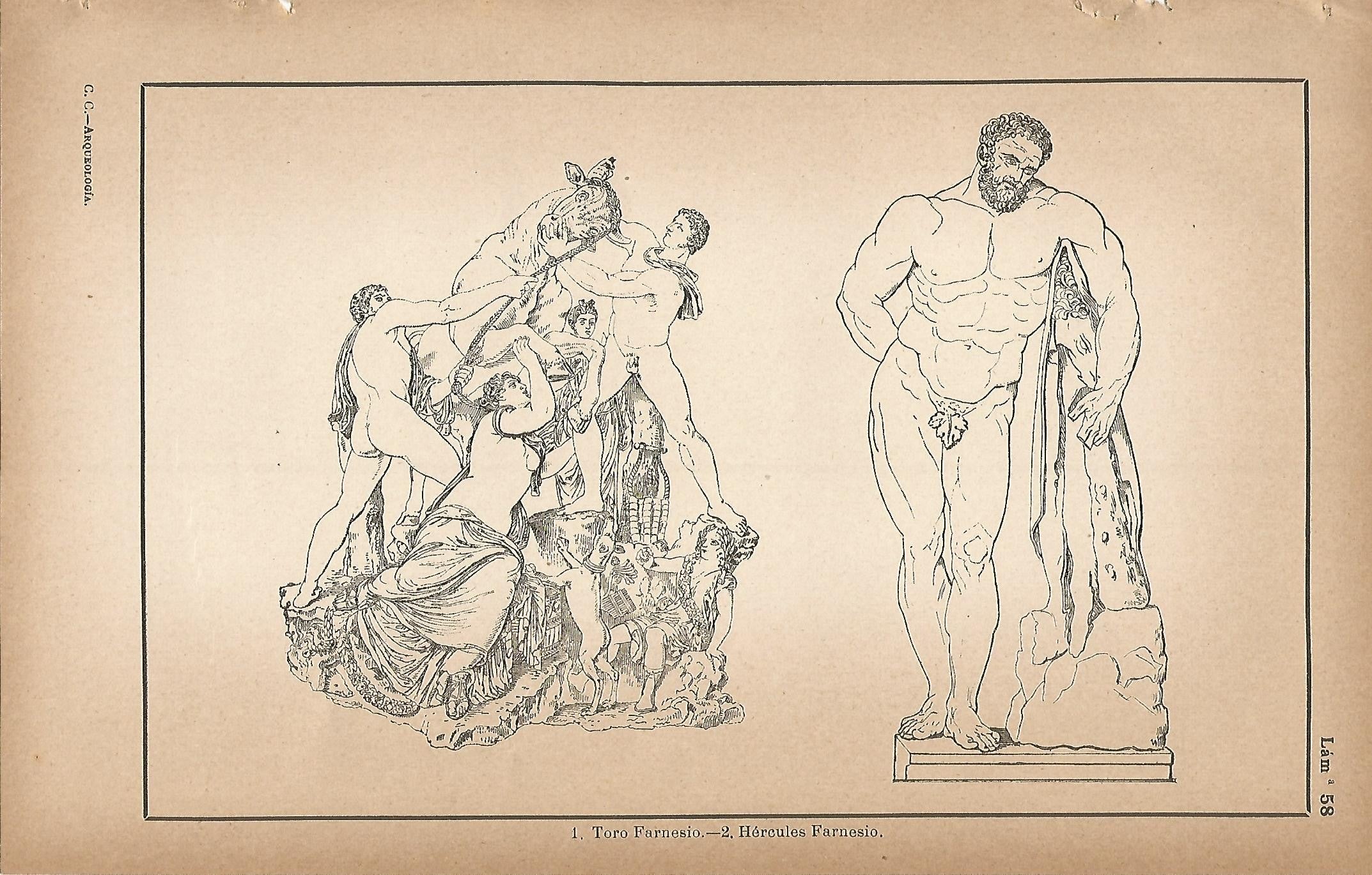 Lamina 058: Toro Farnesio - Hercules Farnesio