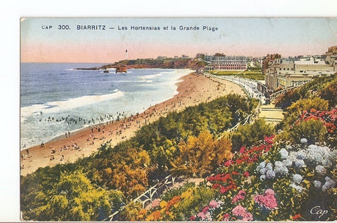 Postal 027340 : Biarritz, Les Hortensias et la Grande Plage