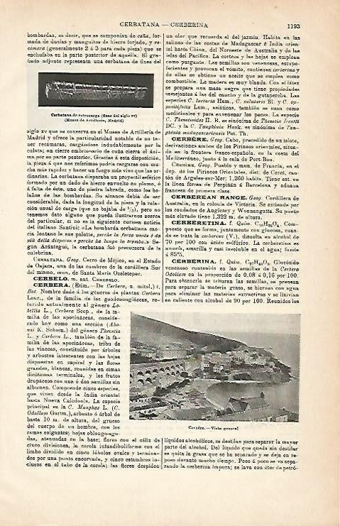 LAMINA ESPASA 2904: Vissta general de Cerbere Francia