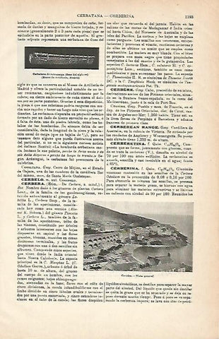LAMINA ESPASA 2904: Vissta general de Cerbere Francia