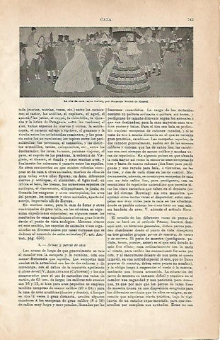 LAMINA ESPASA 2963: La cita de caza por Boutet de Monvel
