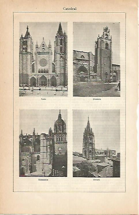 LAMINA ESPASA 2999: Catedral de Leon Palencia Salamanca y Oviedo
