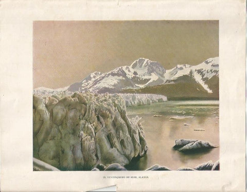 LAMINA 2403: El ventisquero de Muir en Alaska
