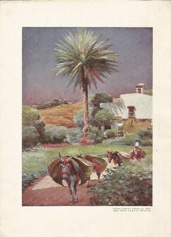 LAMINA 2411: Paisaje andaluz por Garcia Rodriguez