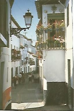 POSTAL 54922: Calle tipica